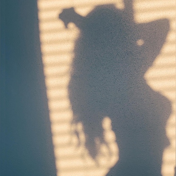 Hi, Nice to Meet You ππ€ - Picture 1 of 4